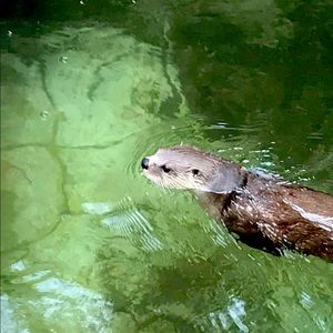 Meet your Posher, Yesi<33